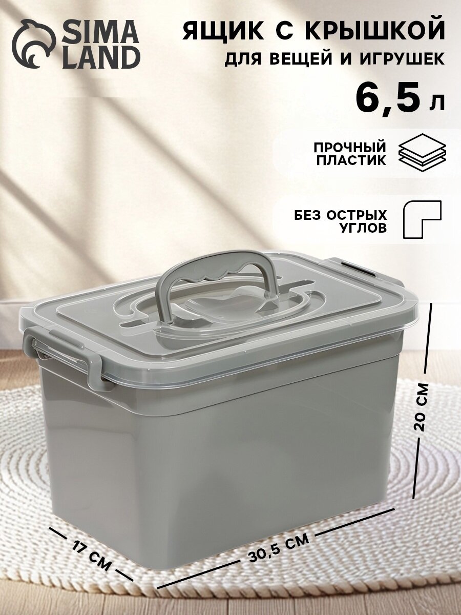 Контейнер для хранения с крышкой Соломон 65 л цвет серый 30 х 20
