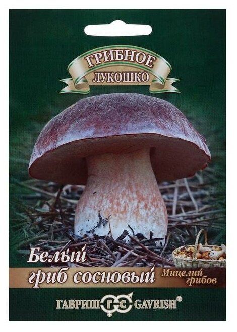 Гавриш Мицелий на компосте "Белый гриб", Сосновый на зерновом субстрате, 15 мл