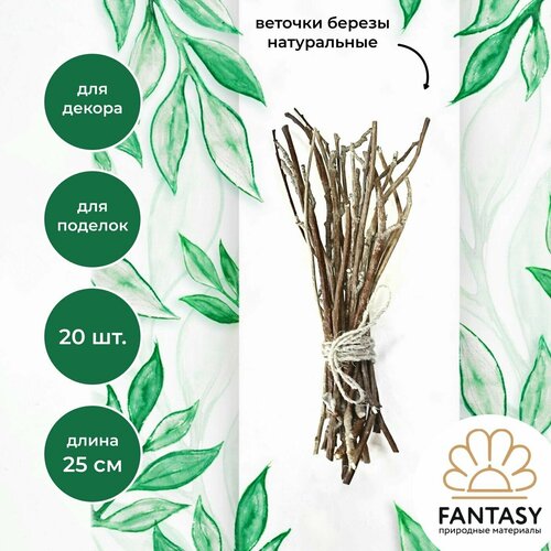 Веточки березы FANTASY, хворост декоративный натуральный, 25-30 см, материал для творчества, для декора, деревянные виншевые прутики для поделок