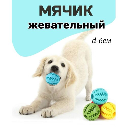 Игрушка мяч для собак резиновый, мяч жевательный 6см