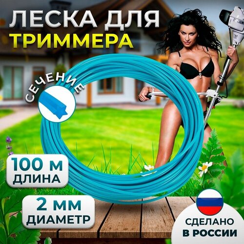 Леска для триммера/газонокосилки, диаметр - 2 мм, длина - 100 м, сечение - звезда