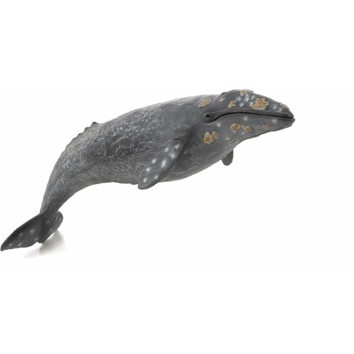 Фигурка-игрушка Серый кит, AMS3016, KONIK konik фигурка горбатый кит большой konik ams3013