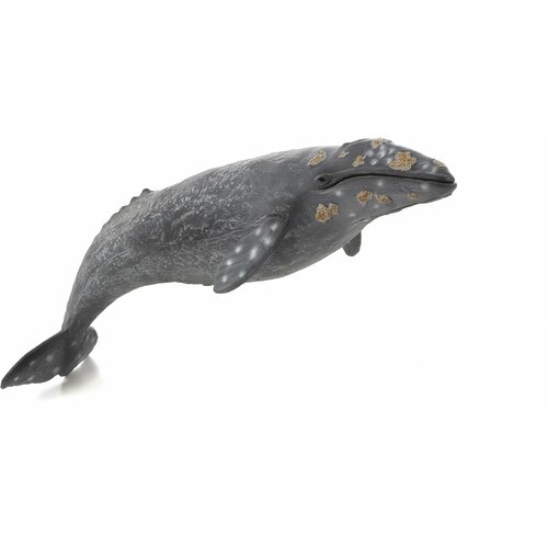 Фигурка-игрушка Серый кит AMS3016 KONIK 1681₽