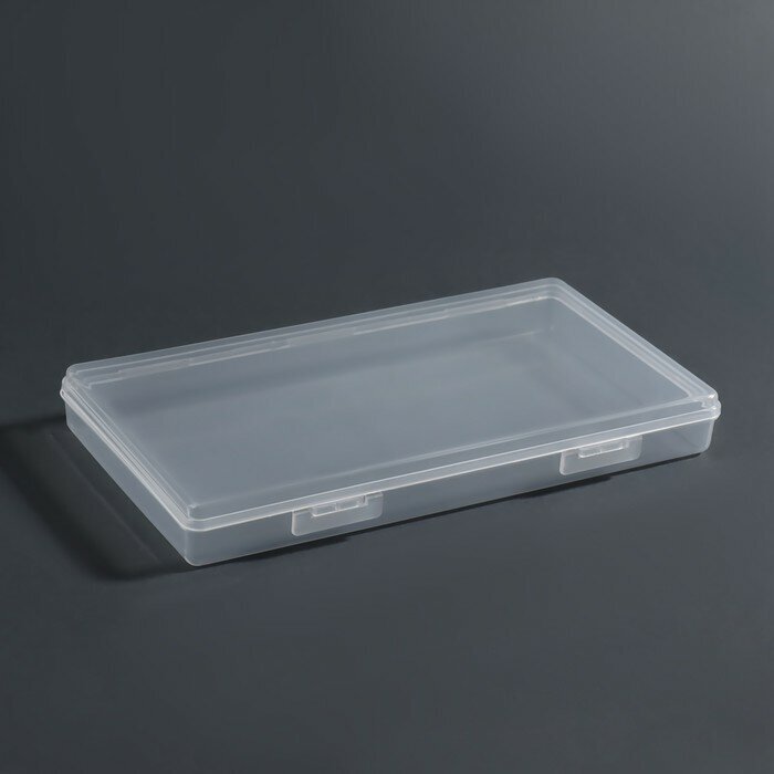 Органайзер для хранения, с крышкой, 19,5 × 10,5 × 2,2 см, цвет прозрачный - фотография № 2