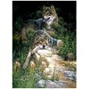 Dimensions Картина по номерам Дикие и свободные волки (DМS-91416) - изображение