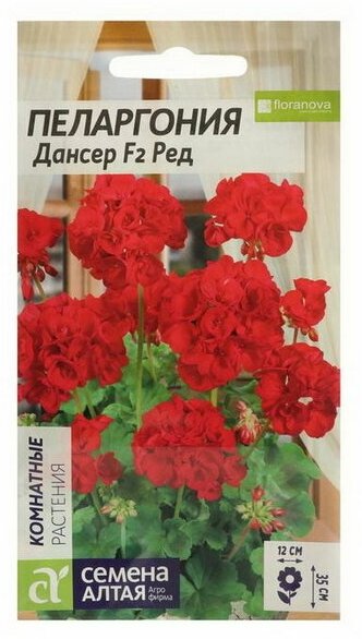 Семена цветов Пеларгония "Дансер Ред", зональная, Сем. Алт, ц/п, 4 шт