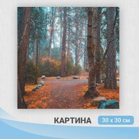 Картина на холсте "Осень" / декор и стилизация интерьера квартиры, дома, офиса / 30см-30см.