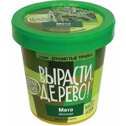 Набор вырасти дерево! zk-093