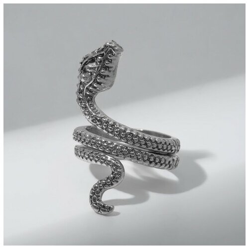 Кольцо, безразмерное, серебряный кольцо змея гладкая цвет серебро безразмерное