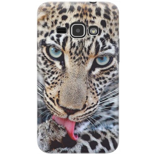 фото Cиликоновый чехол на samsung galaxy j1 (2016) / самсунг джей 1 2016 с принтом "леопард" gosso