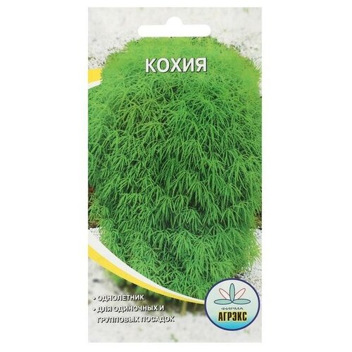 Семена цветов однолетние Кохия 0,1