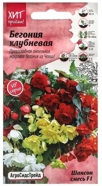 Семена Цветов Бегония 