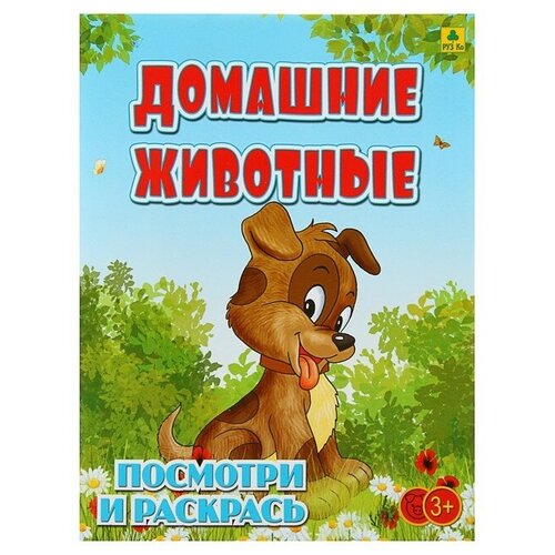 руз ко раскраска посмотри и раскрась отечественная авиация с наклейками РУЗ Ко Раскраска посмотри и раскрась. Домашние животные