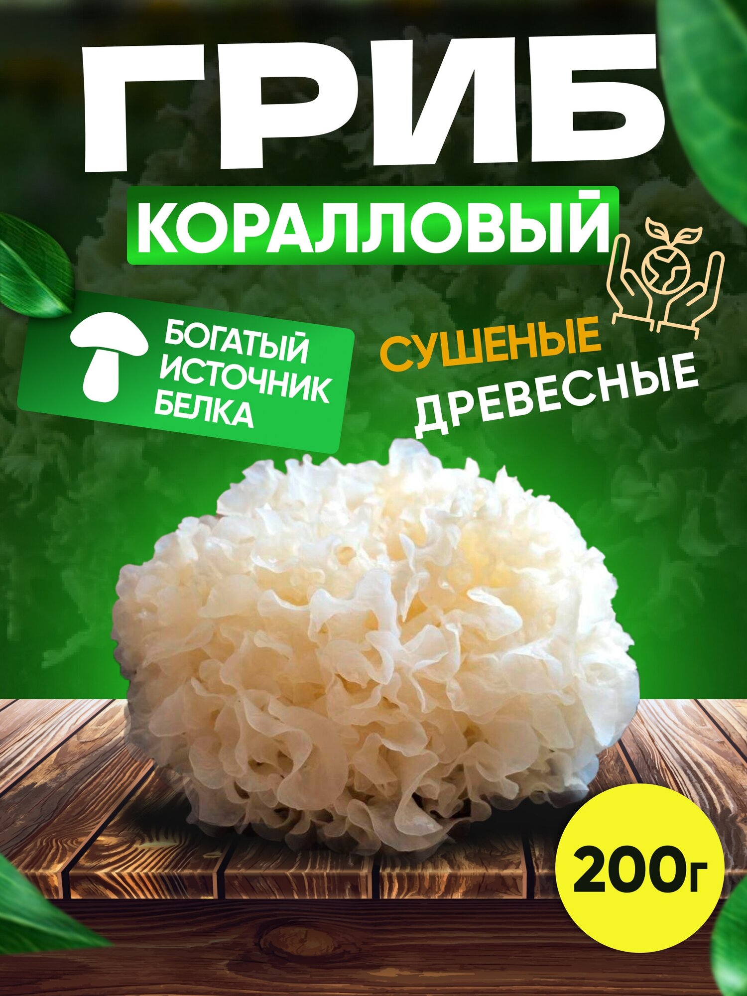 Грибы Коралловые белые