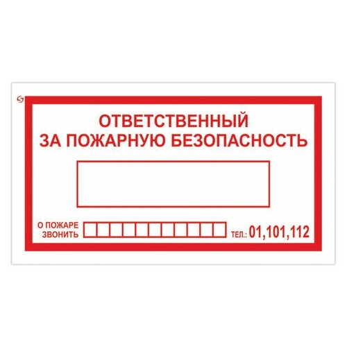 Знак вспомогательный "Ответственный за пожарную безопасность" прямоугольник 250х140 мм самоклейка, 10 шт