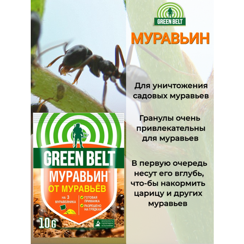 Муравьин Green Belt (Грин Белт) 10 гр. Средство от садовых муравьев комплект муравьин green belt 10 гр