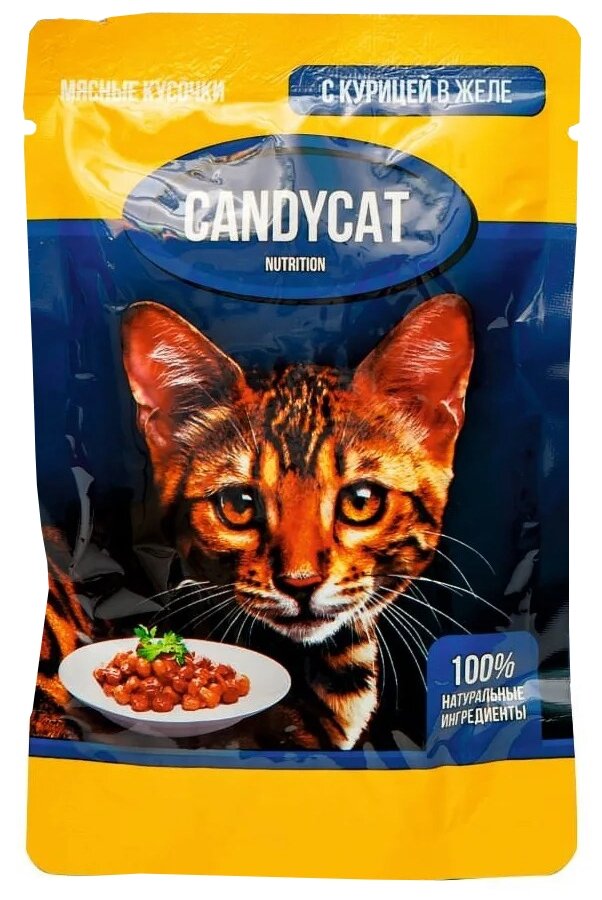 Candycat влажный корм для взрослых кошек всех пород с курицей в желе - 85 г