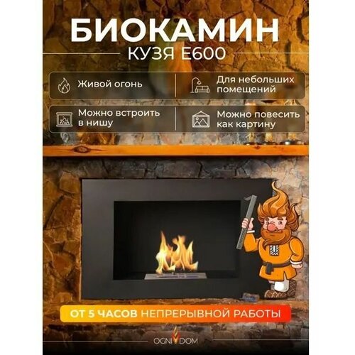 Биокамин OGNIVDOM Кузя E600