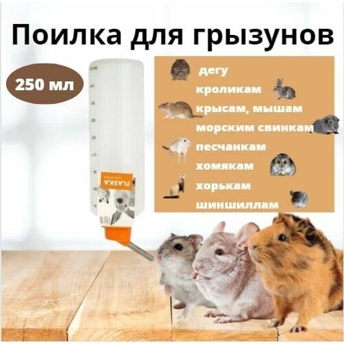 Поилка для грызунов, размер М, 250 мл, M-PETS