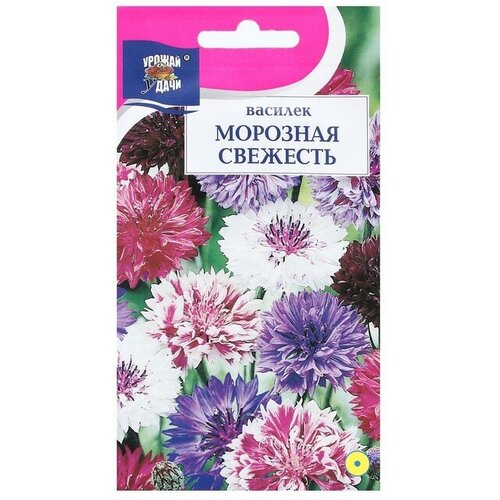 Семена цветов Василек морозная свежесть, 0,5 г (3 шт)