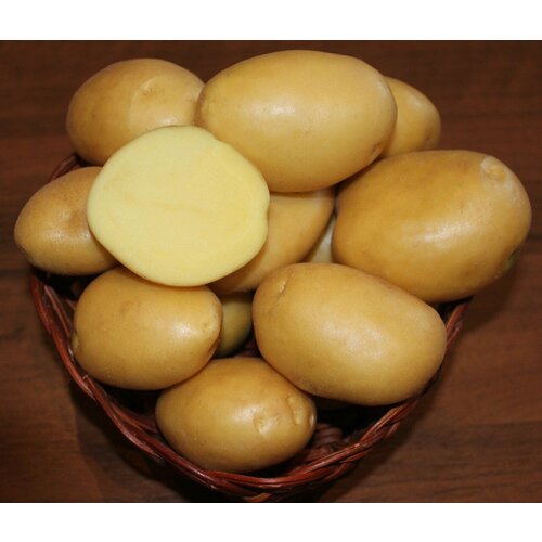 Картофель семенной Вымпел (2 кг)