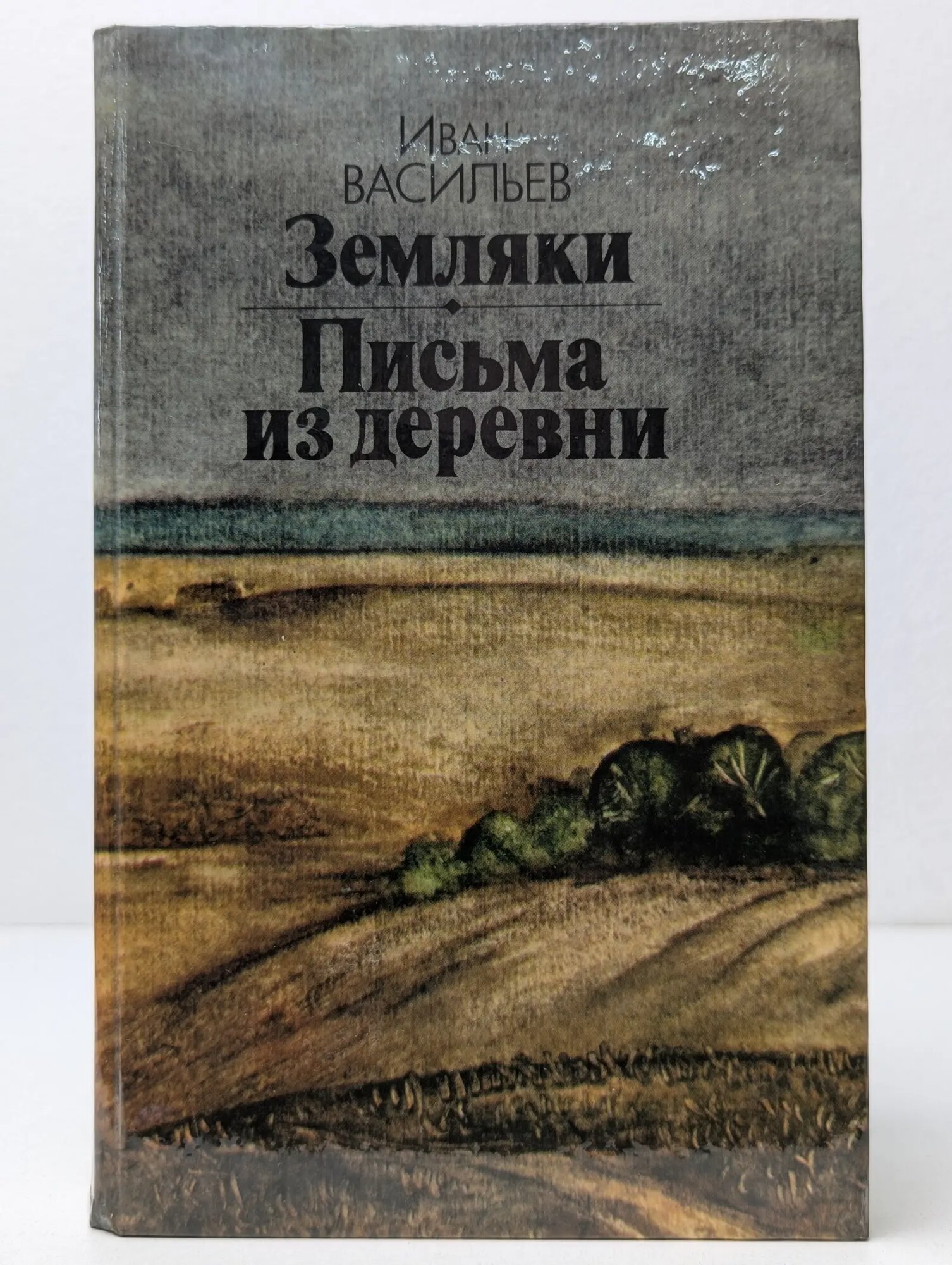 Земляки. Письма из деревни Васильев Иван Афанасьевич 1985