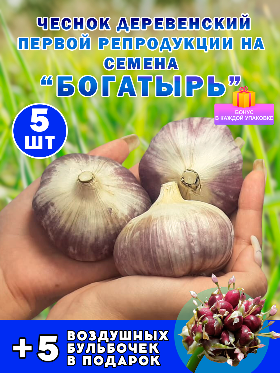 Богатырь Озимый Чеснок на Посадку 5 Луковицы