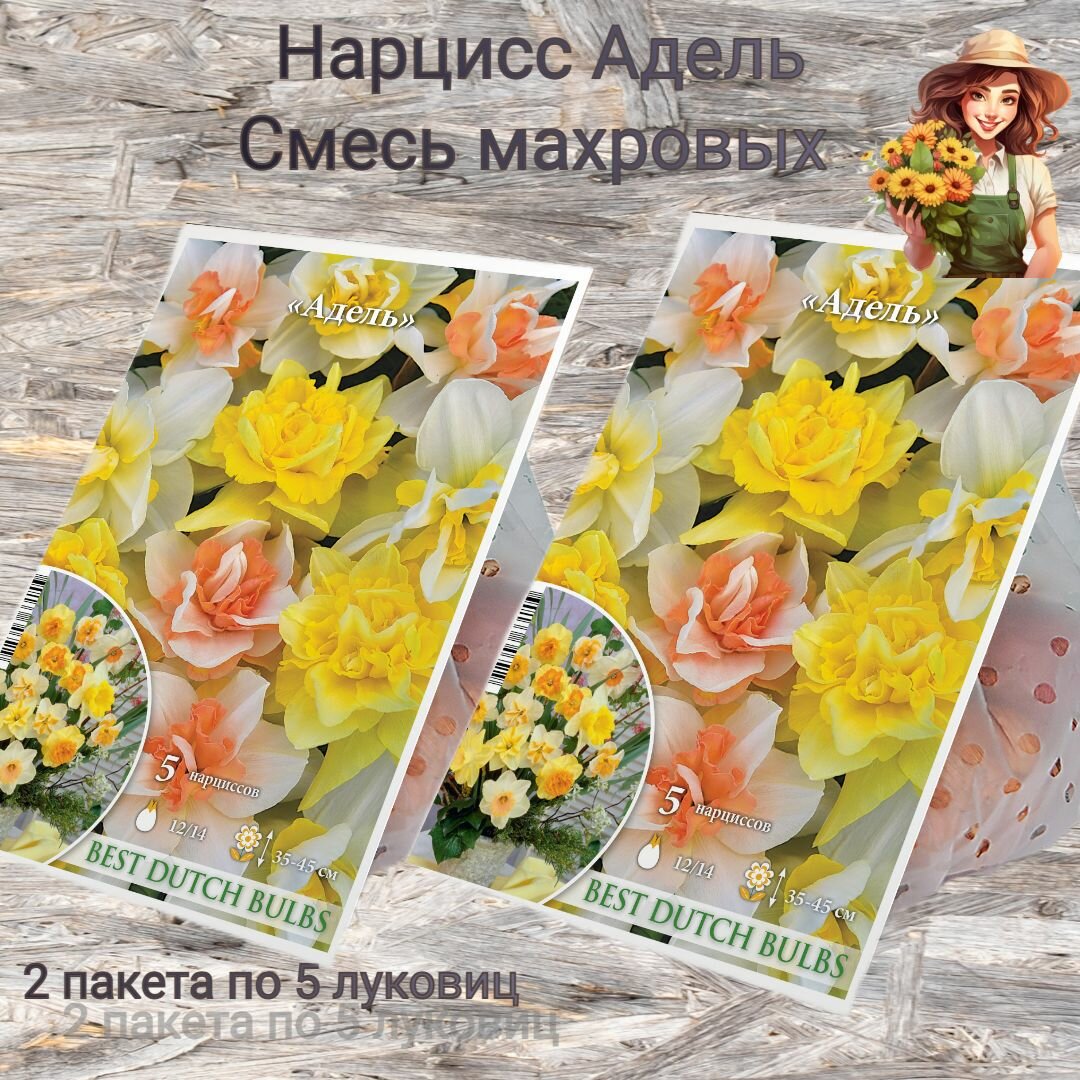 Нарцисс Адель смесь махровых 2 пакета