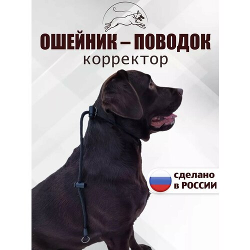 Контроллер корректор поведения удавка с фиксатором, поводок для собак