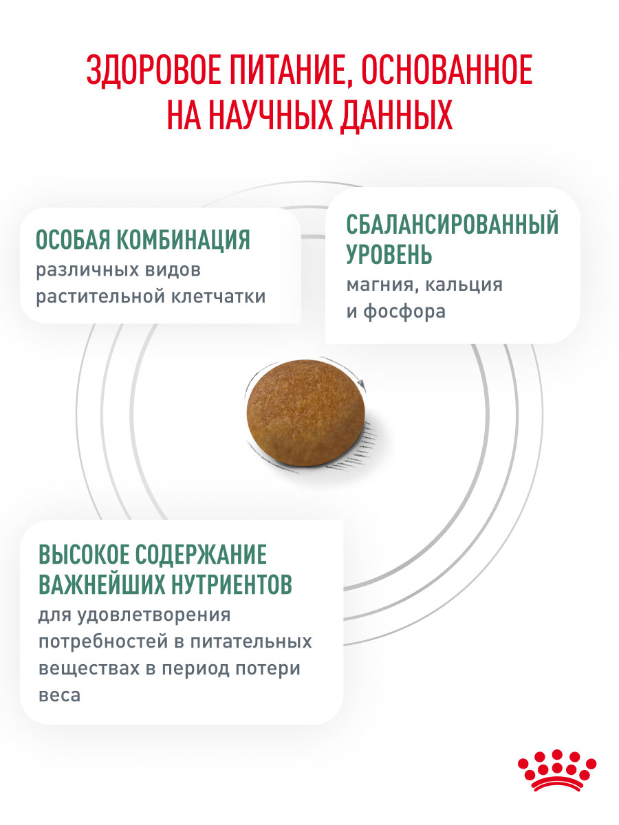 Сухой корм для собак Royal Canin Satiety Weight Management Small Dogs для мелких пород для снижения веса, 3 кг — фото 1
