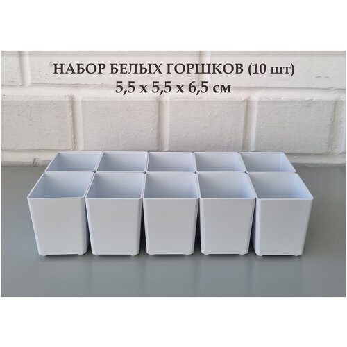 Горшки для суккулентов. Набор горшков 5,5 см х 5,5 см х 6,5 см, 0,6 л, 10 шт