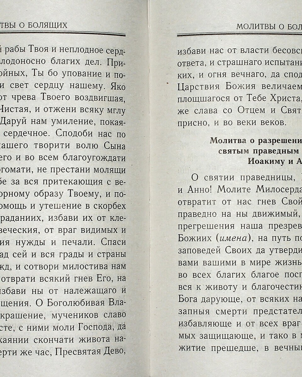 Молитвослов. Правило ко причастию. Молитвы за ближних. Каноны и акафисты. Молитвы на всякую потребу - фото №3