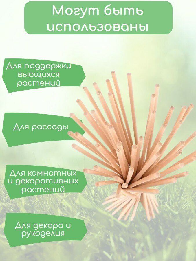 Бамбуковые палки для растений, цветов и рассады, шлифованные опоры 60 см 10 штук, колышки садовые диаметр 5 мм - фотография № 2