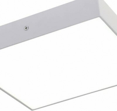 Настенно-потолочный светильник Favourite Flashled 2066-30C, 30 Вт, кол-во ламп: 1 шт., 4000 К, цвет арматуры: белый, цвет плафона: белый - фотография № 3