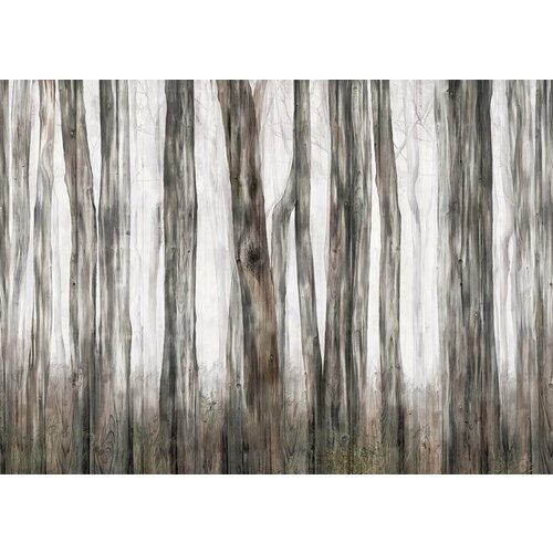 Моющиеся виниловые фотообои GrandPiK Фон. Старые доски и стволы деревьев, 200х145 см