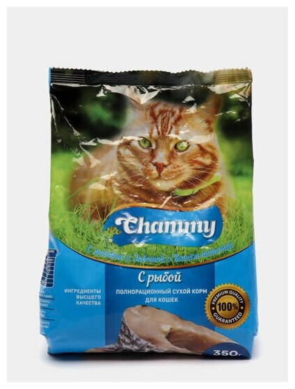 Chammy Сухой корм Chammy для кошек, рыба, 350 г - фотография № 3