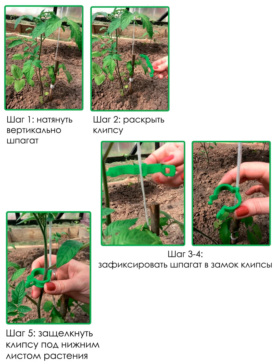 Клипсы ГеоПластБорд для подвязки растений 50114