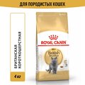 Сухой корм Royal Canin British Shorthair Adult (Британская Короткошерстная Эдалт) для взрослых кошек британской породы от 1 года до 12 лет, 4 кг