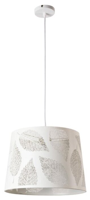 Подвесной светильник Arte Lamp Celesta A2768SP-1WH