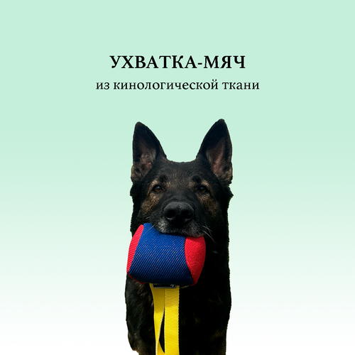 Ухватка-мяч для собак BITEFORCE из ринговой спецткани, красно-синяя