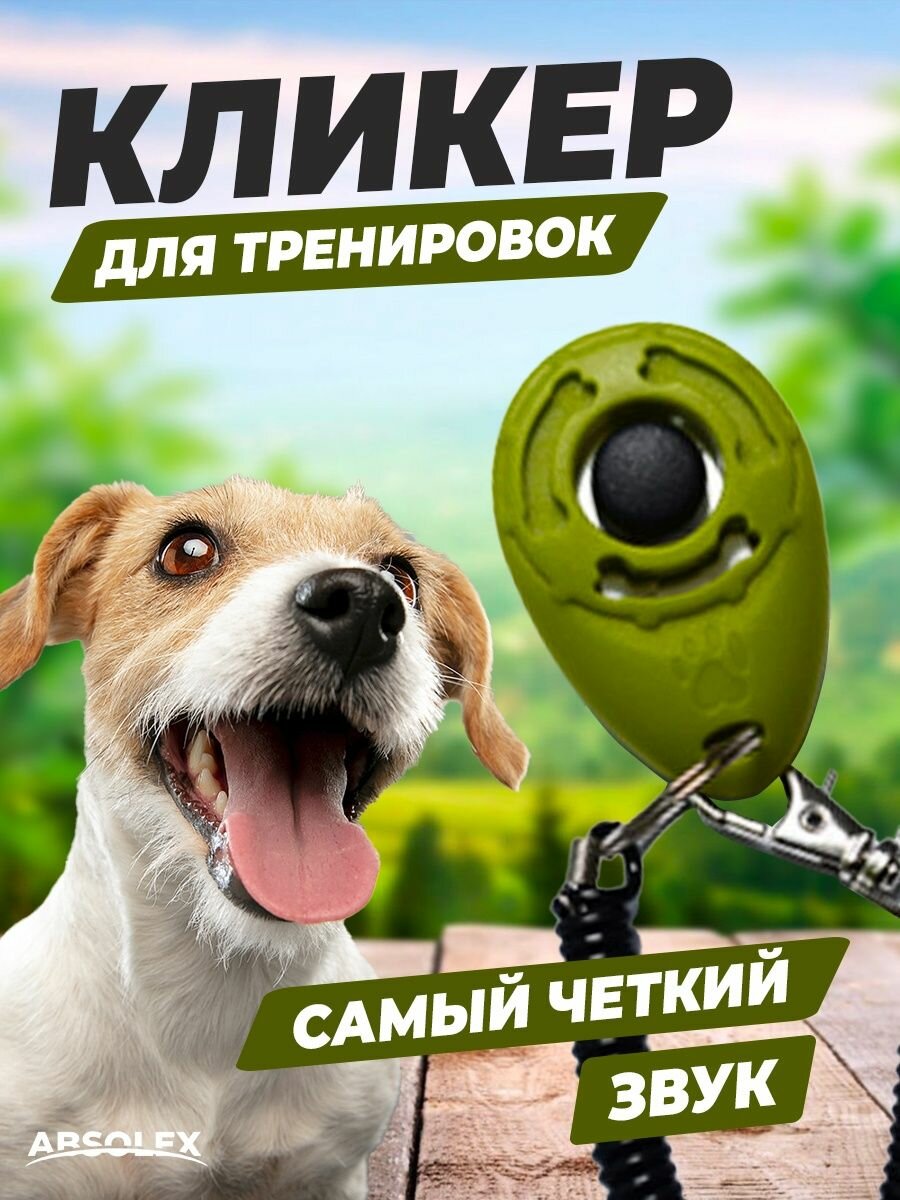 Кликер для дрессировки животных