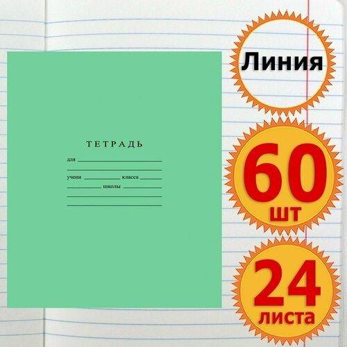 Тетрадь школьная для учебы в Линейку 24 листа Комплект 60 штук Классика, в Линия, Зеленая