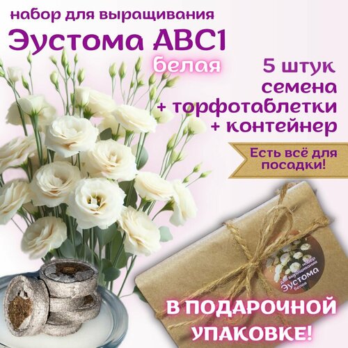 Подарочный набор: семена Эустома белая + торфяные таблетки, 5 шт, набор для выращивания