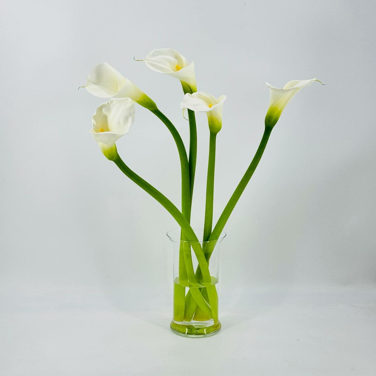 Белые каллы 5 шт. Живые цветы для дома