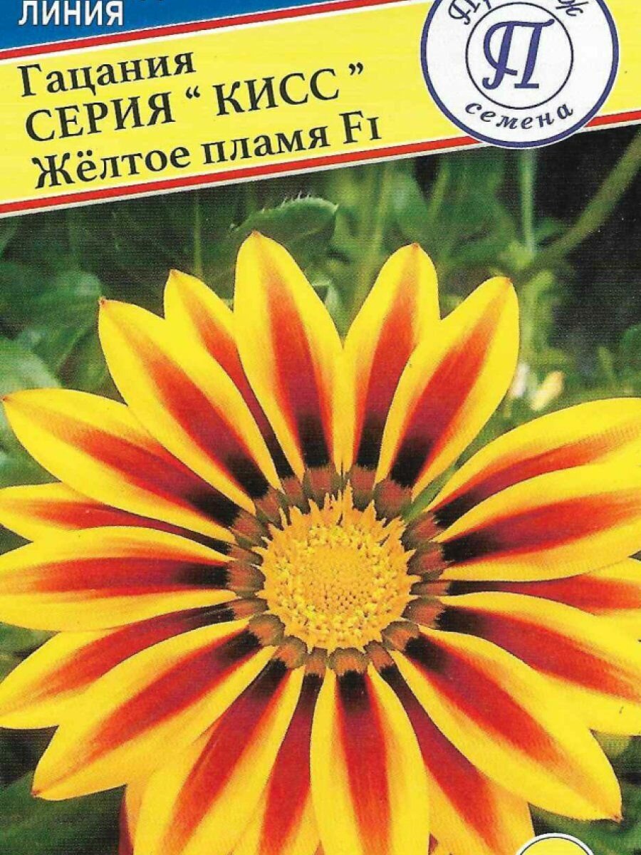Гацания Жёлтое пламя F1 Кисс 5 шт Семена Престиж