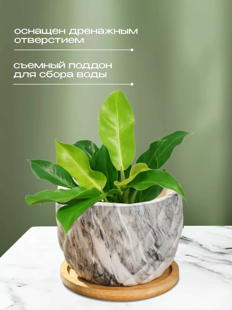 Кашпо керамика, 8.5х8.5х7 см, для кактусов и суккулентов, Мини, Y4-5358 — фото 1