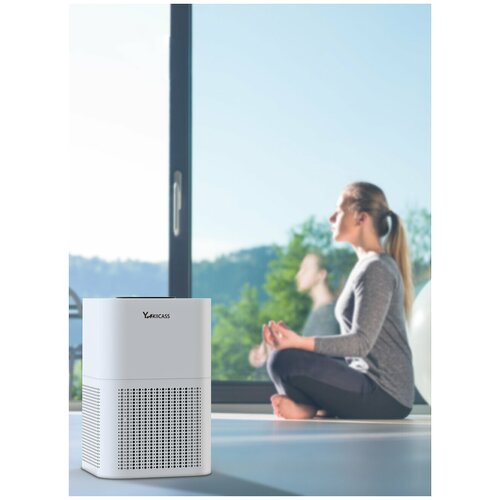 YAXIICASS Очиститель воздуха A4 784500₽