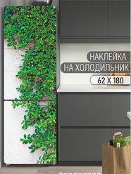 Интерьерная наклейка на холодильник "Вьюн на стене" для декора дома, размер 62х180 см