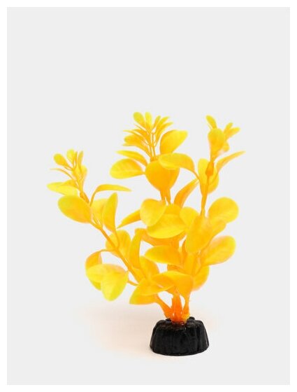 Искусственное растение BARBUS Людвигия 10 см ярко-желтый - фотография № 3