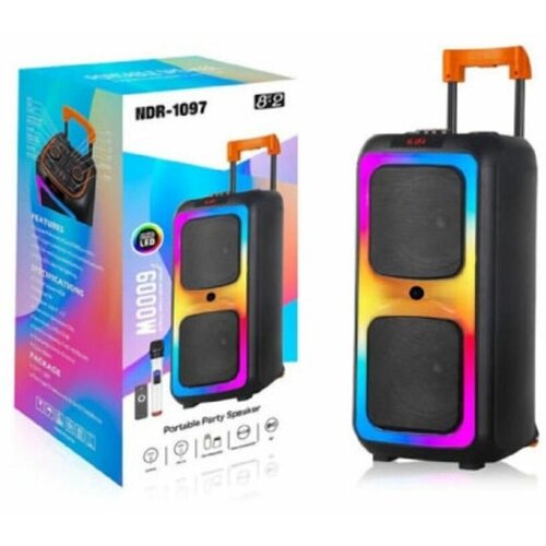 Активная напольная колонка NDR-1097 1040600₽